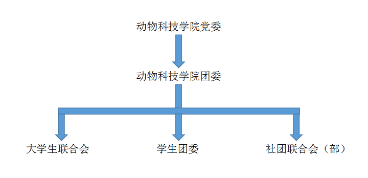 干部图111.png
