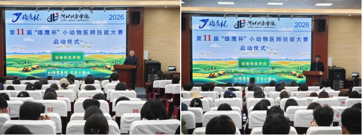 1775201608607996.png 1775201608607996.png