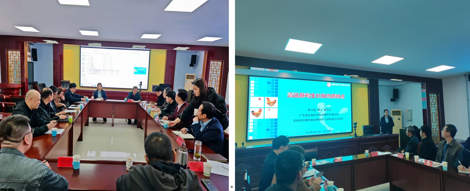 屏幕截图 2026-04-20 153832.jpg